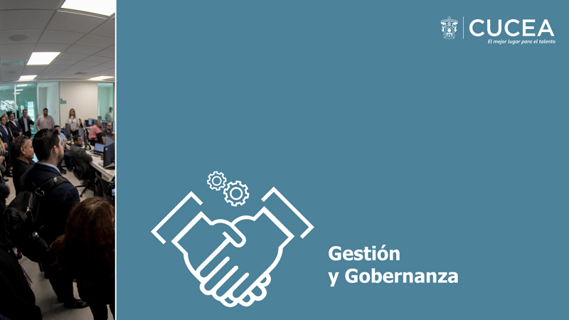 Gestión Y Gobernanza