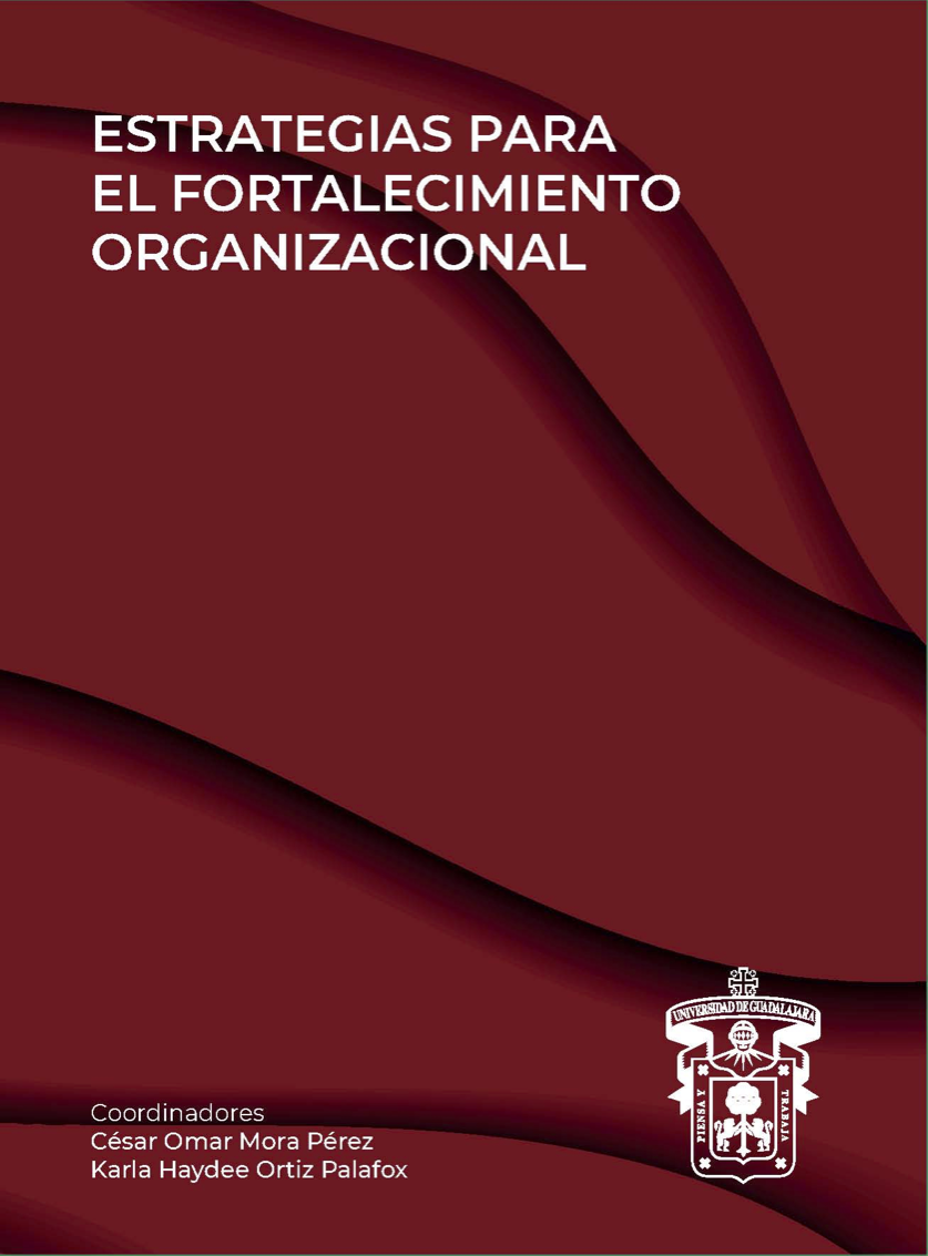 2020_EstrategiasFortalecimientoOrganizacional.png