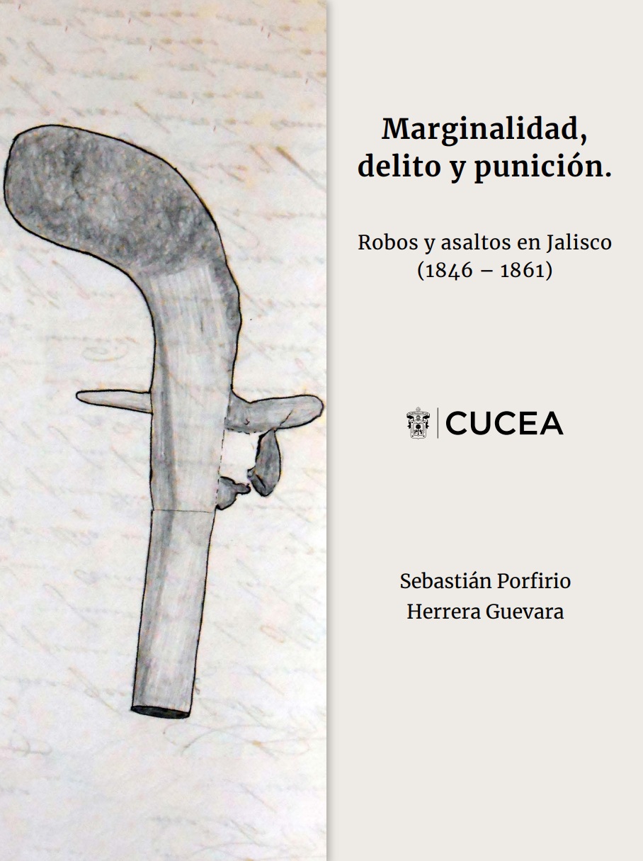 Marginalidad, delito y punicion.jpg
