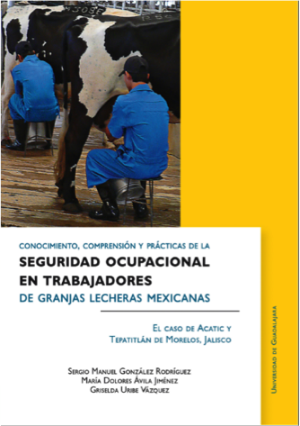 seguridad_ocupacional_en_trabajadores.png